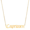 18K Gold Plated Capricorn Zodiac Necklace