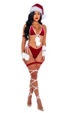 2pc Santas Holiday Spirit Bikini Costume