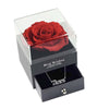 Preserved Rose Flower In a Acrylic Box with Real Silver Plated Aries Zodiac Necklace