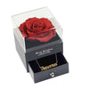 Preserved Rose Flower In a Acrylic Box with 18K Real Gold Plated Aquarius Zodiac Necklace